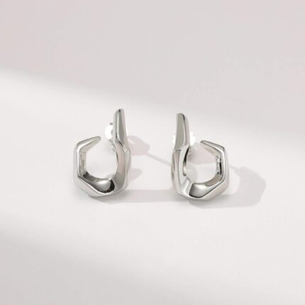 Irregular Stainless Steel Silver Earrings | Water Proof